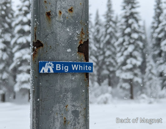 Big White Mountain Blue Ski Runs