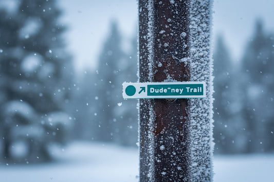 Apex - Magnets - Ski Runs - Wholesale