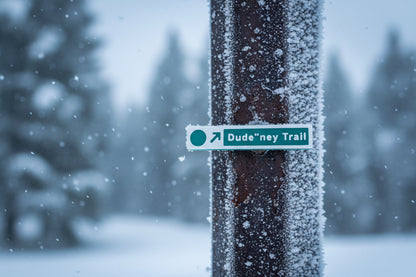 Apex - Magnets - Ski Runs - Wholesale