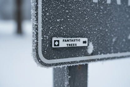 Mount Washington - Magnets - Ski Runs - Wholesale