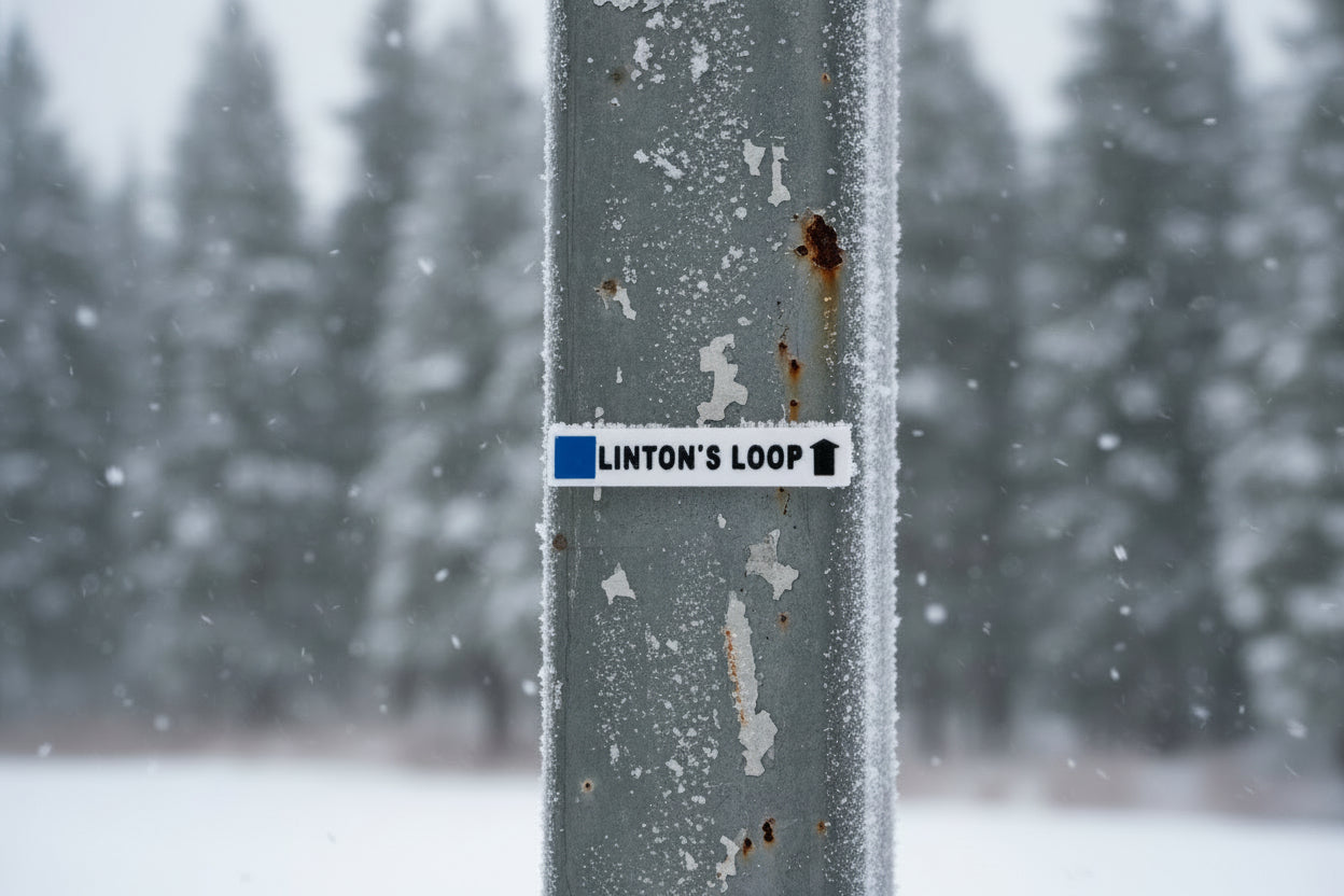 Mount Washington - Magnets - Ski Runs - Wholesale