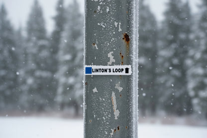 Mount Washington - Magnets - Ski Runs - Wholesale