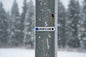 Mount Washington - Magnets - Ski Runs - Wholesale
