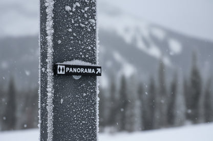 Panorama Mountain Resort - Ski Magnets - Wholesale