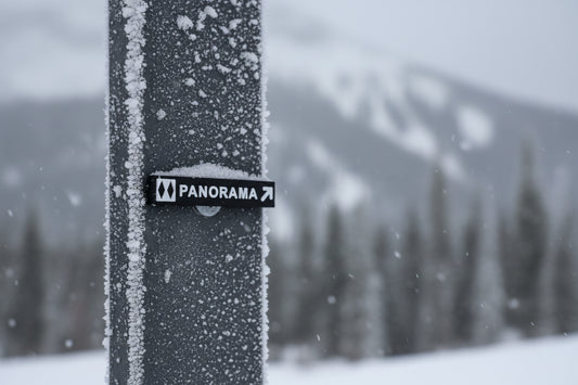 Panorama Mountain Resort - Ski Magnets - Wholesale
