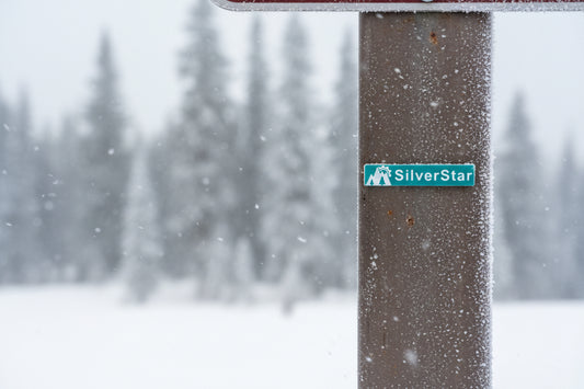 SilverStar Green Ski Runs