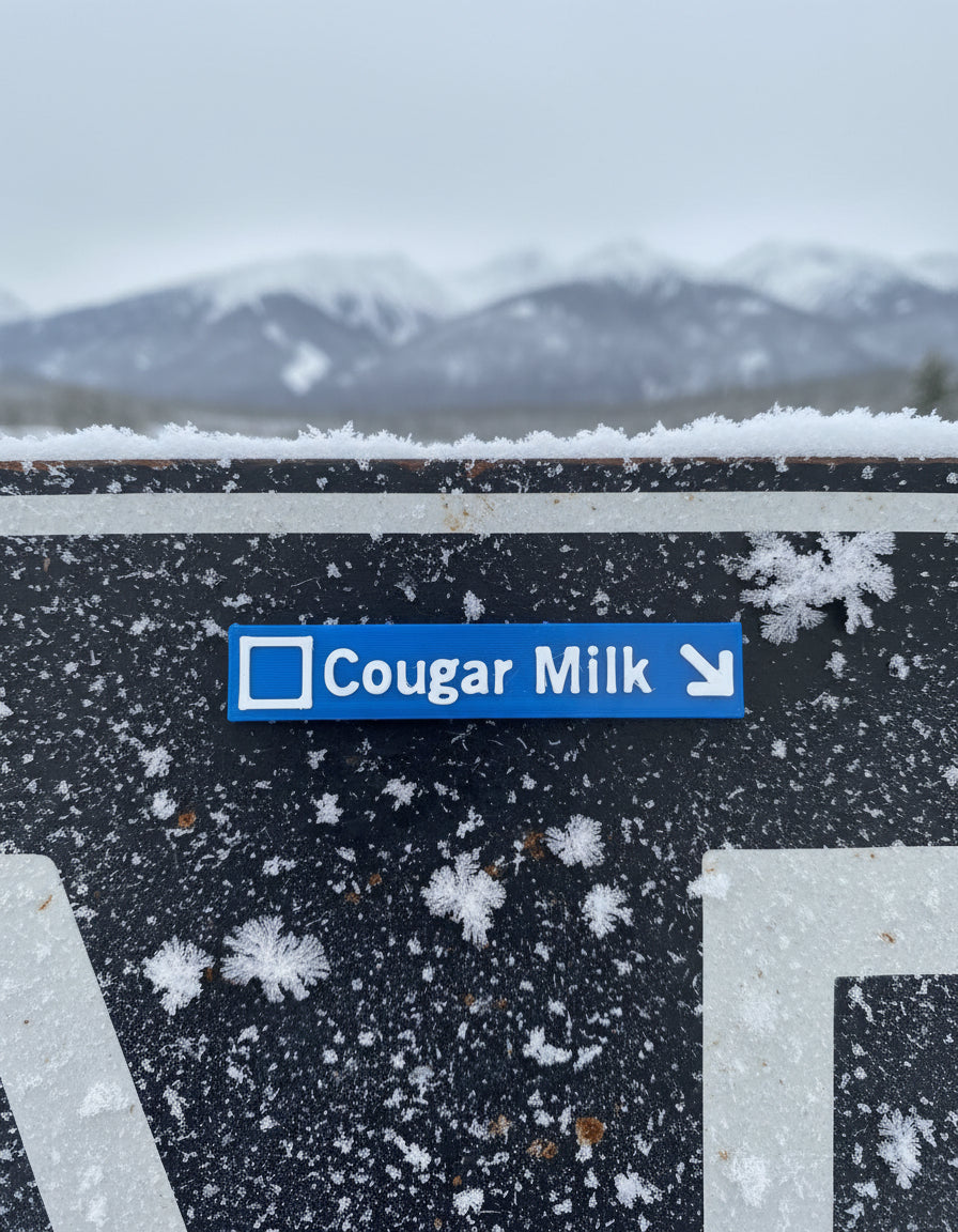 Whistler & Blackcomb Blue Ski Run Themed Sign Magnets