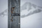 Whistler & Blackcomb Black Diamond and Double Black Diamond Ski Run Themed Sign Magnets