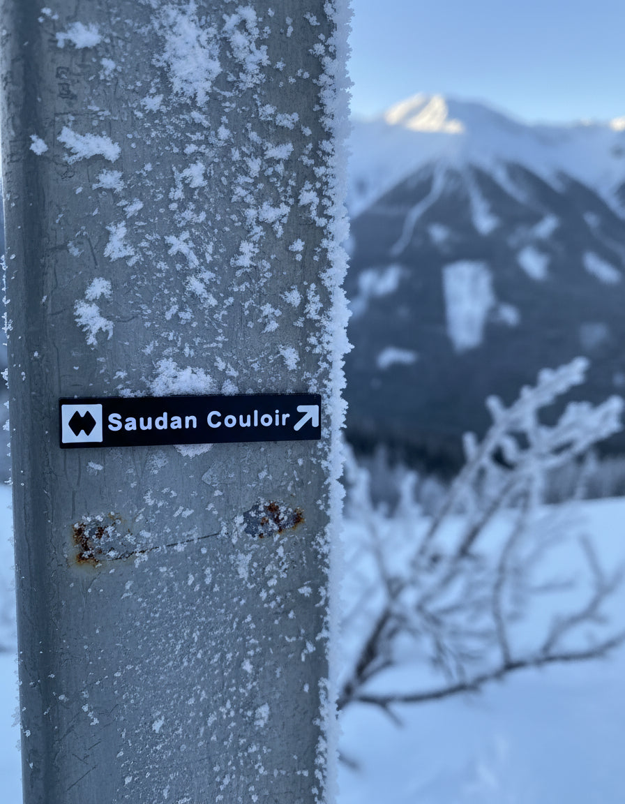 Whistler & Blackcomb Black Diamond and Double Black Diamond Ski Run Themed Sign Magnets