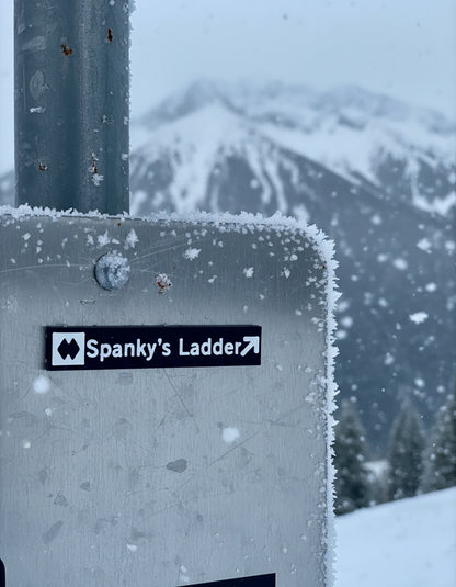 Whistler & Blackcomb Black Diamond and Double Black Diamond Ski Run Themed Sign Magnets