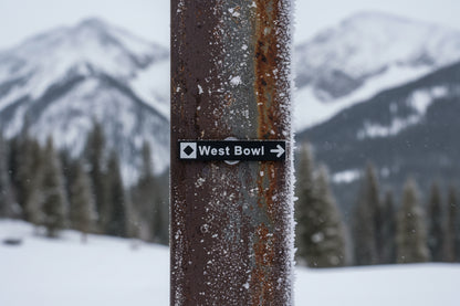 Whistler - Ski Magnets - Black Diamond / Double Black Diamond