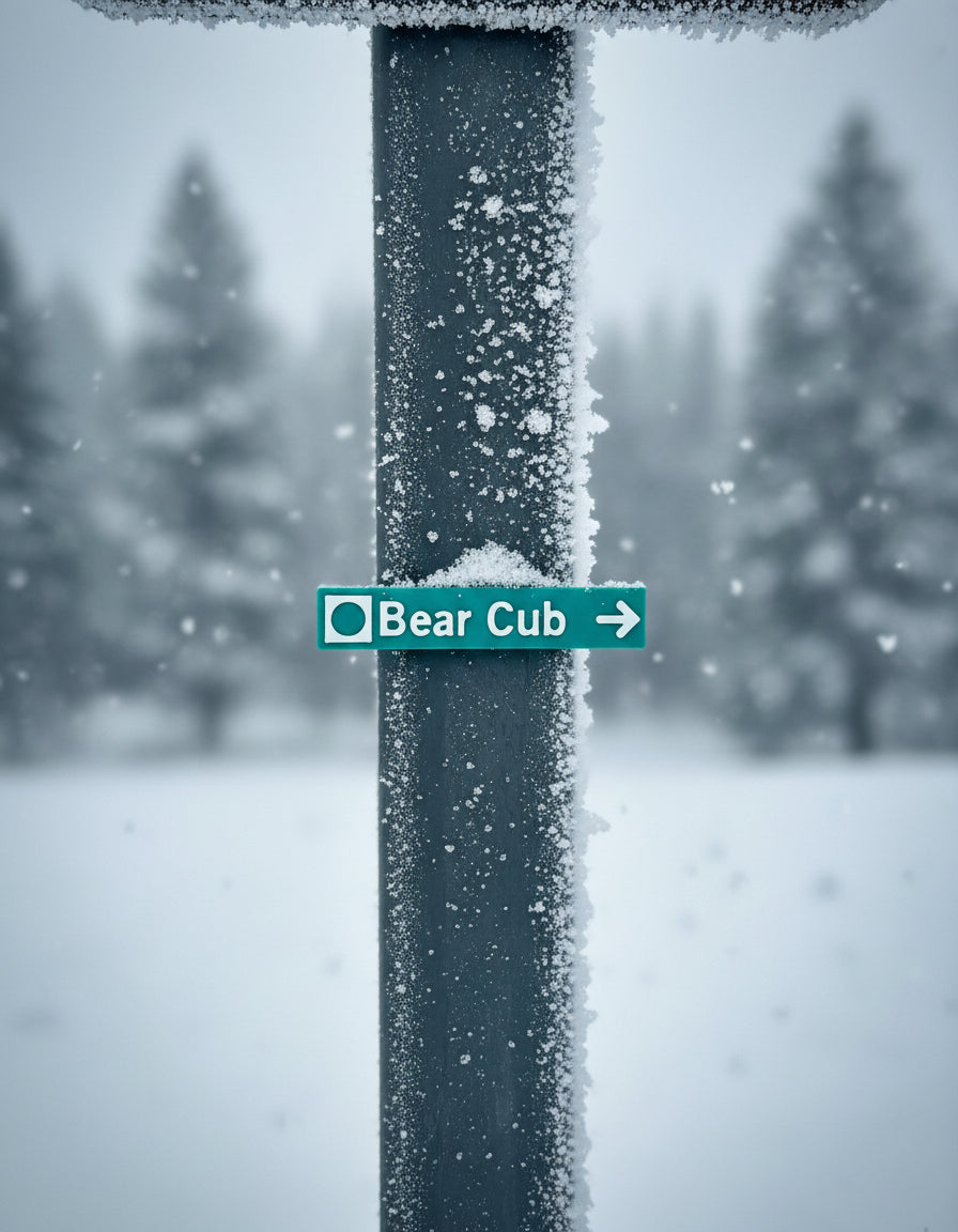 Whistler & Blackcomb Green Ski Run Themed Sign Magnets