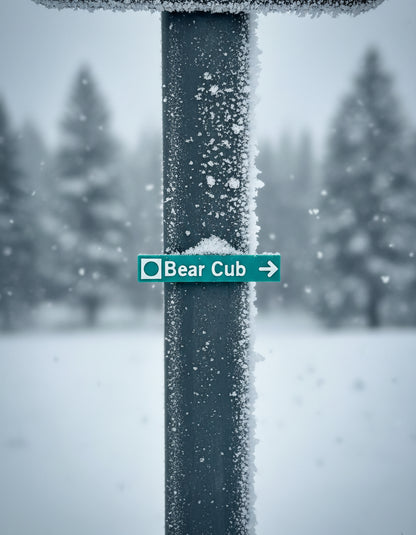 Whistler & Blackcomb Green Ski Run Themed Sign Magnets