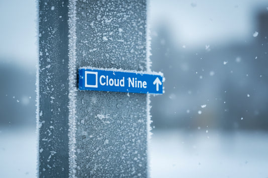 Whistler & Blackcomb Blue Ski Run Themed Sign Magnets