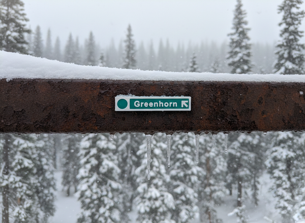 Revelstoke - Magnet - Green Ski Runs