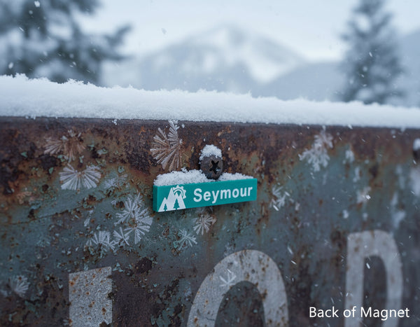 Seymour Mountain - Ski Magnet - Green