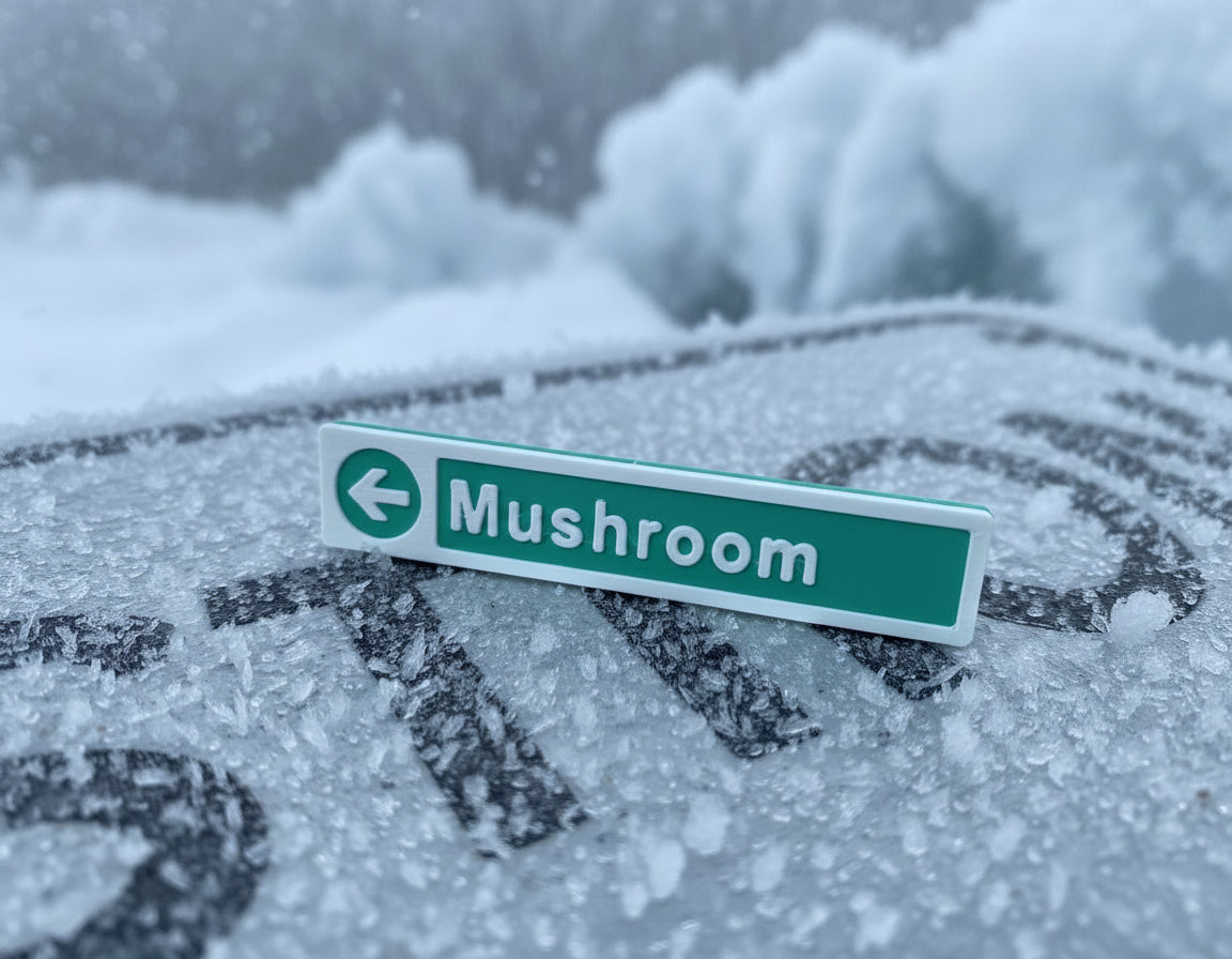 Seymour Mountain Green Ski Runs