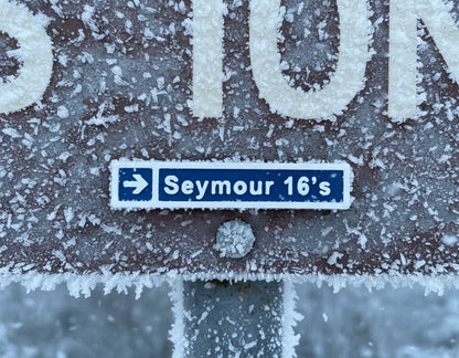 Seymour Mountain Blue Ski Runs