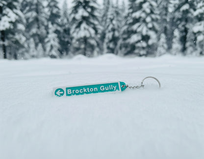 Seymour Mountain SkiChains