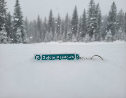 Seymour Mountain SkiChains