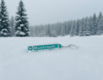 Seymour Mountain SkiChains