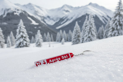 Big White - SkiChains