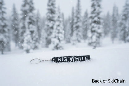 Big White - SkiChains
