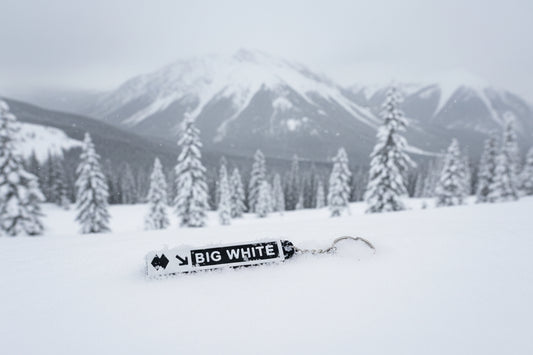 Big White - SkiChains