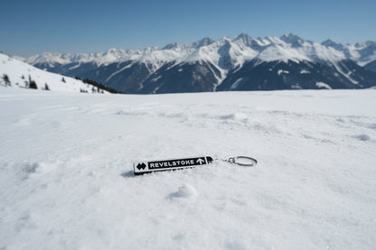 Revelstoke - SkiChains