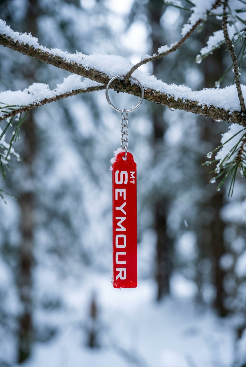 Mt Seymour - SkiChains - Ski Runs - Wholesale
