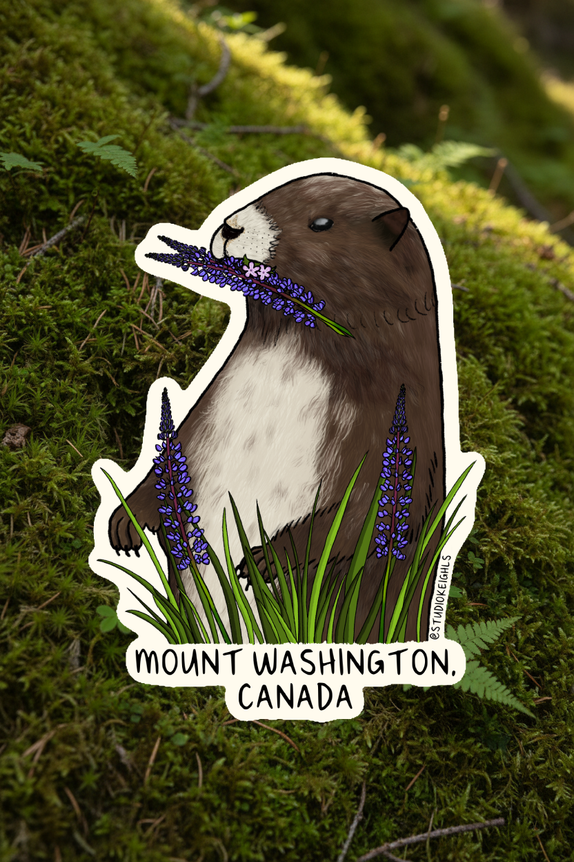 Sticker - Marmot - Mt Washington - Wholesale