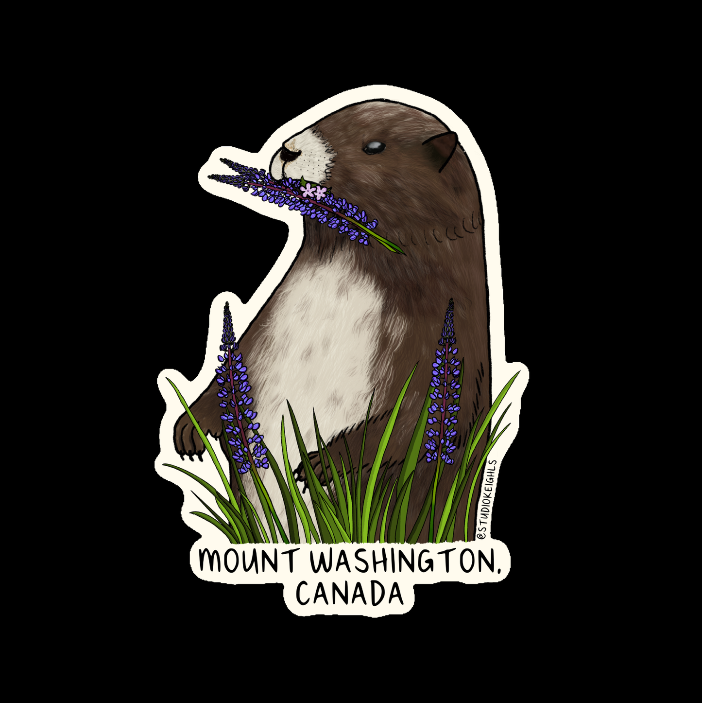 Sticker - Marmot - Mt Washington - Wholesale