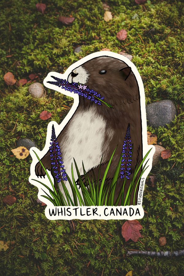 Sticker - Marmot - Whistler