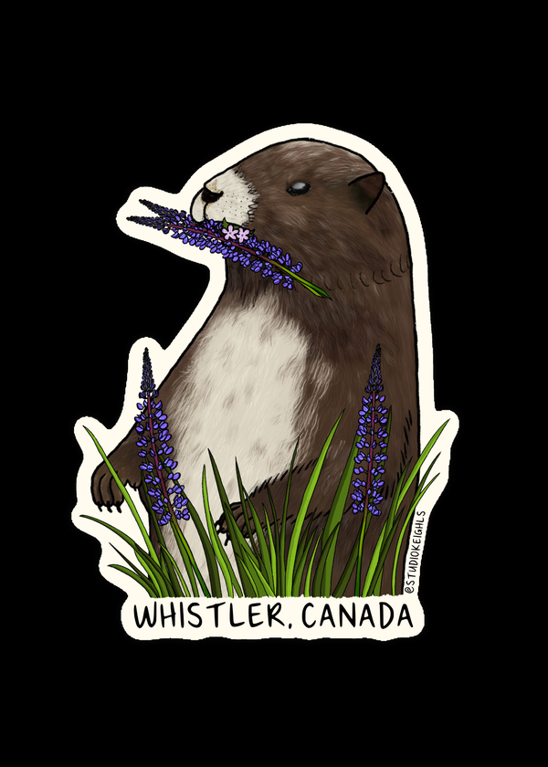 Sticker - Marmot - Whistler