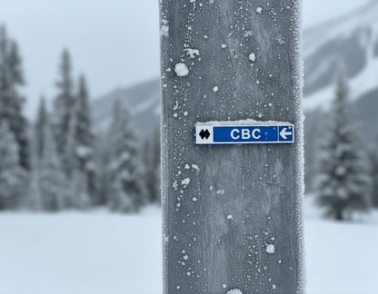 Mt Tremblant Ski Runs - Wholesale