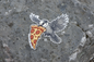 Sticker - Whiskey Jack Pizza - Whistler