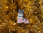 Whistler - Ornaments - Ski Boot